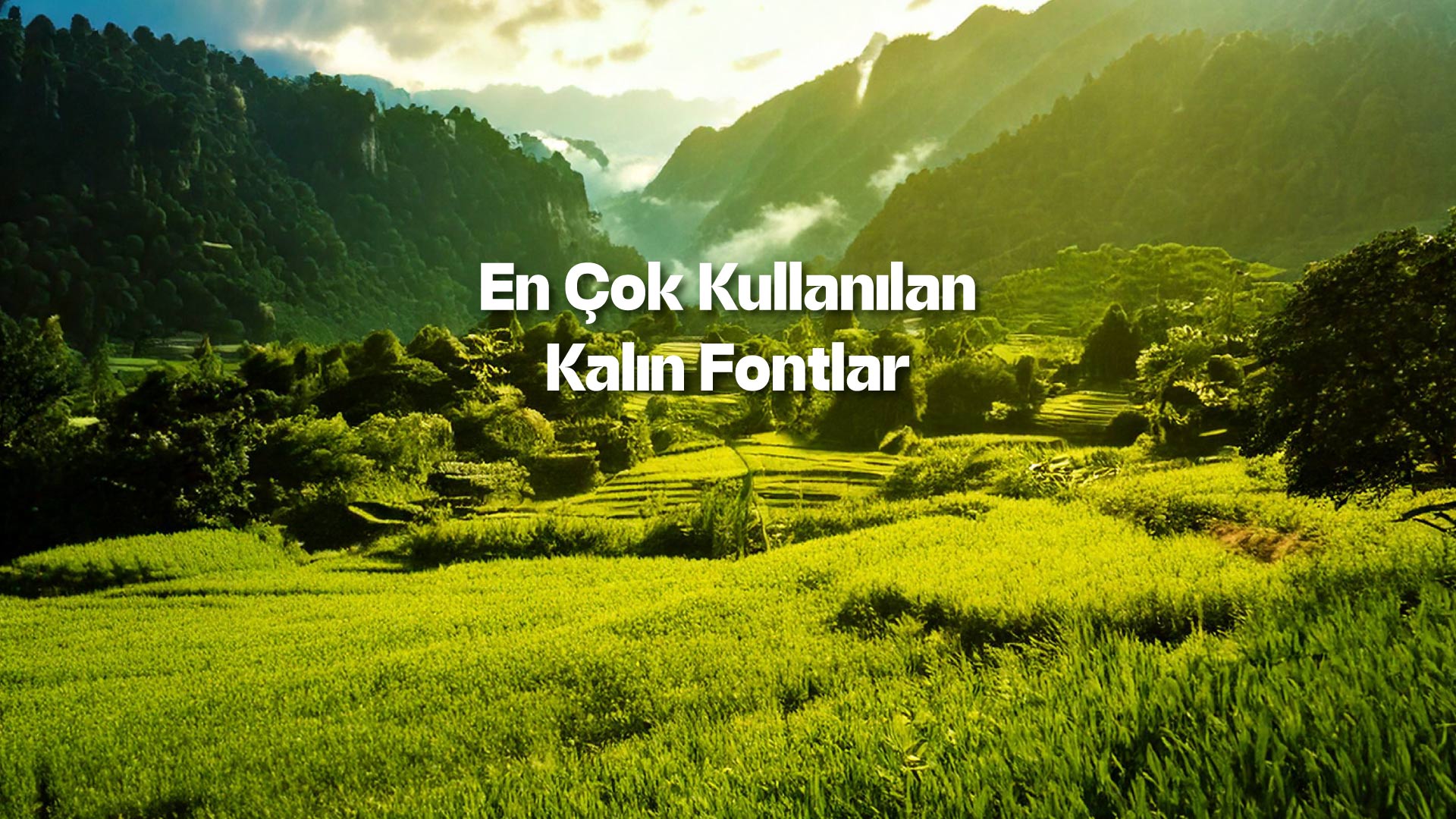 Fontlar En Çok Kullanılan Kalın Fontlar – Furkan Kocagöz